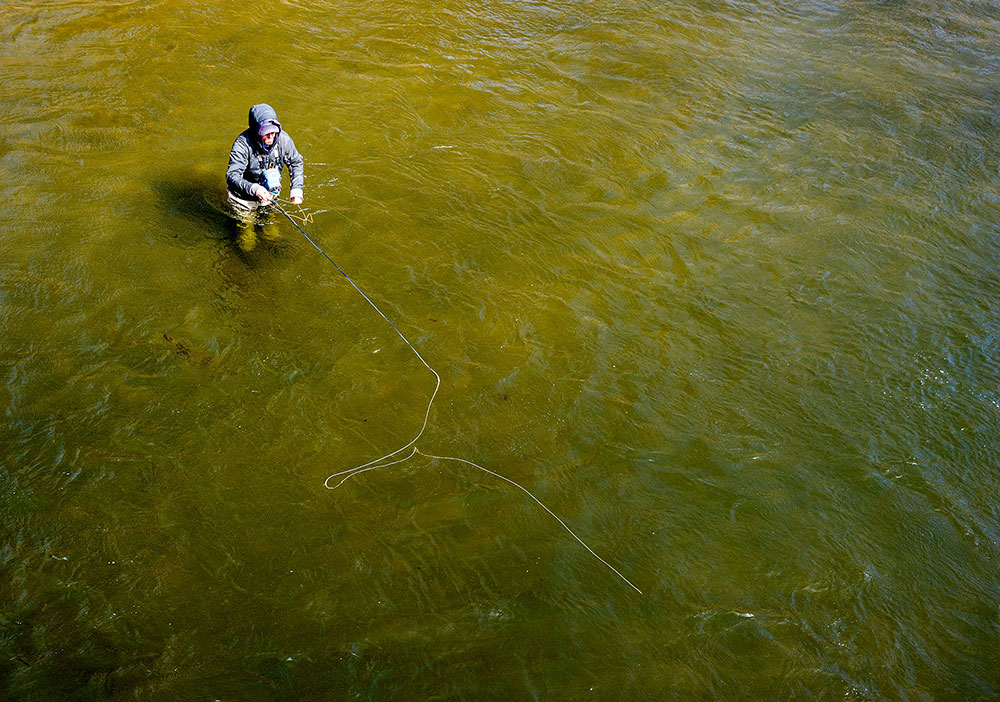 Cross Current Fly Fishing Insurance ambassador wading in river.