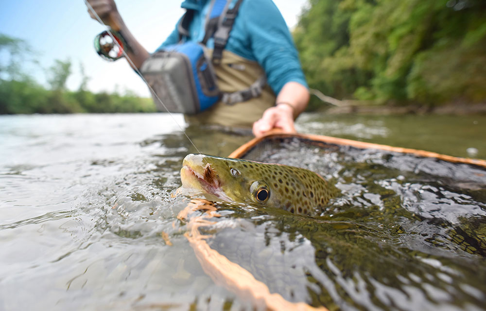 Angler catching a trout on his fishing lodge trip