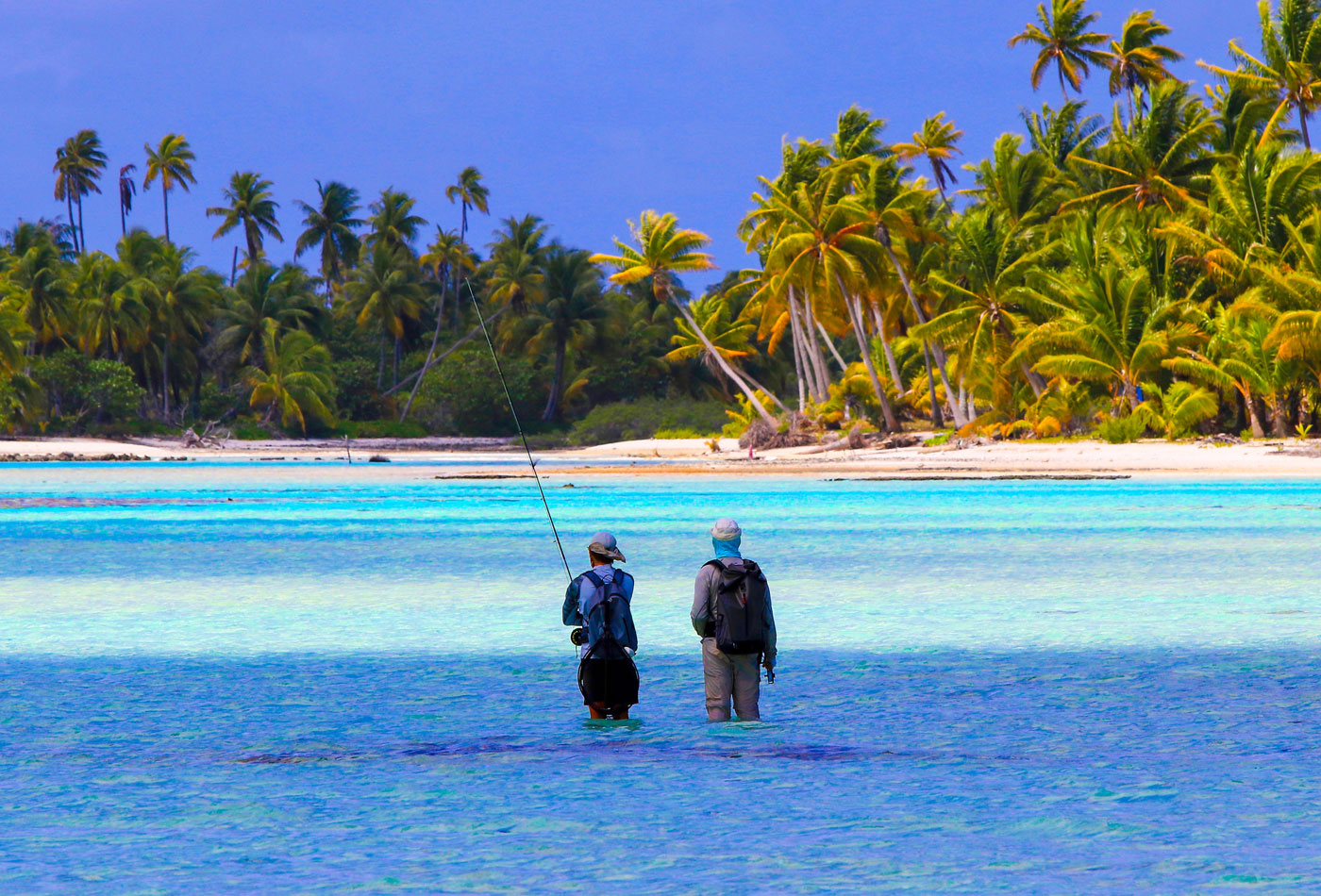 Two anglers fly fishing in the flats of a Caribbean island.