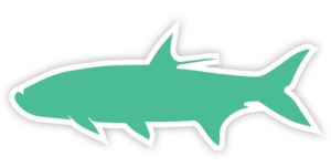 green fish icon