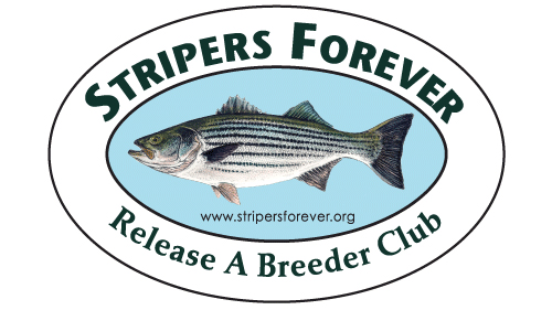 stripers forever logo