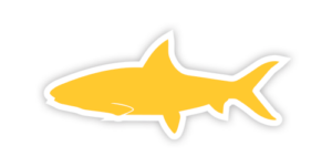 Yellow fish icon